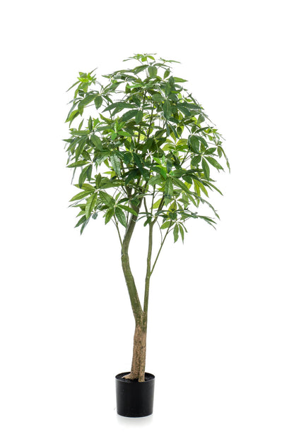 XL Kunstplant - Pachira Aquatica Geldboom - Hoogte ↕ 180cm