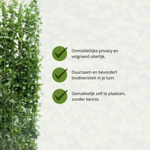 Buitenplant - Hedera hibernica Klimop - Kant-en-Klaar Haag - Breedte ↔ 120cm Hoogte ↕ 180cm