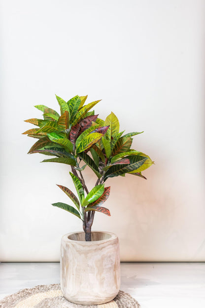 Kunstplant - Croton Codiaeum Wonderstruik - Hoogte ↕ 95cm