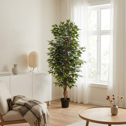 XL Kunstplant - Ficus Benjamina - Hoogte ↕ 180cm