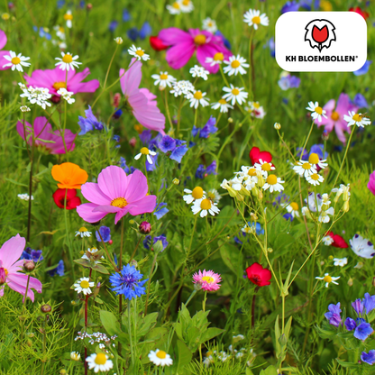 Wilde Bloemenzaad Mengsel - 100 gram - voor Bijen en Vlinders