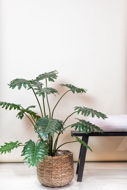 Kunstplant - Philodendron - Hoogte ↕ 105cm