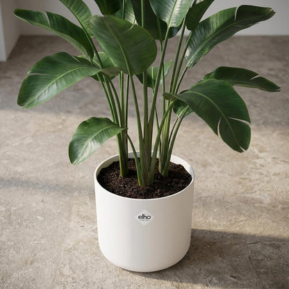 Sierpot - Ronde Bloempot 25cm - Wit