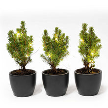 Mini-kerstboom set 3 - incl. Boule Antraciet pot + 20 LED lights