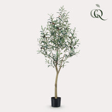 Kunstplant - Olea europaea Olijfboom - Hoogte ↕ 140cm
