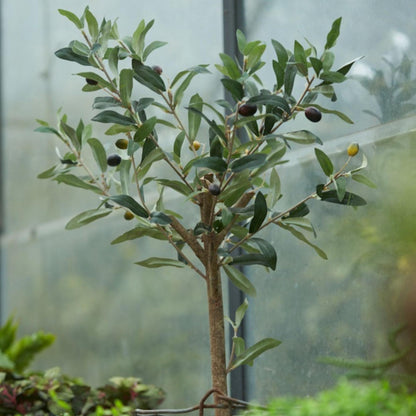 Kunstplant - Olijfboom in pot - Hoogte ↕ 65cm