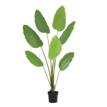 Kunstplant - Strelitzia Nicolai - Hoogte ↕ 170cm