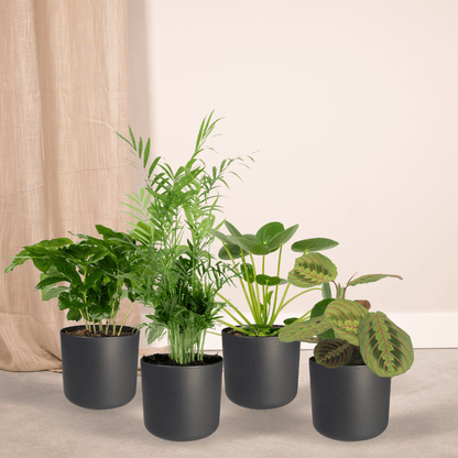 Diervriendelijke plantenbox - 4 stuks - Pot Ø 12cm Hoogte ↕ 20-40cm
