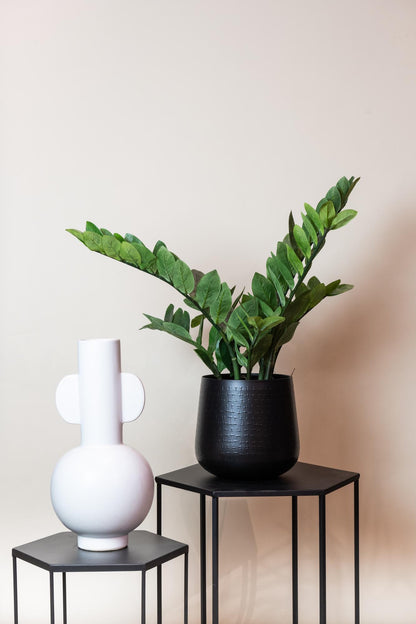 Kunstplant - Zamioculcas Kamerpalm - Hoogte ↕ 70cm