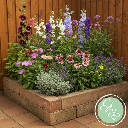 Buitenplant - Borderpakket Bijen en Vlinderlokkend - 8 Vaste planten - 1 m2 - Pot Ø 11cm