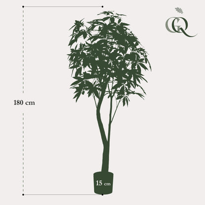 XL Kunstplant - Pachira Aquatica Geldboom - Hoogte ↕ 180cm