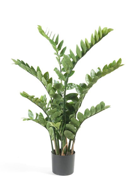 XL kunstplant - Zamioculcas Kamerpalm - Hoogte ↕ 110cm