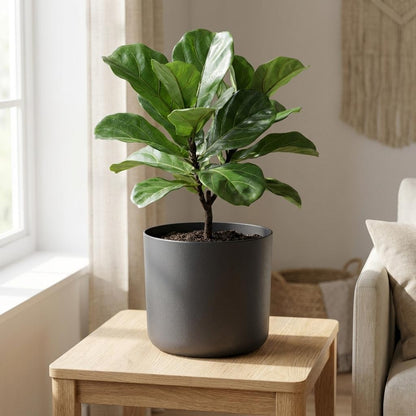 Sierpot - B.for Soft Antraciet - Pot Ø 22cm