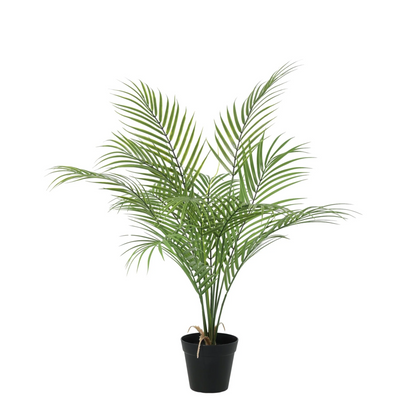 Kunstplant - Kentia Palm - Hoogte ↕ 65cm