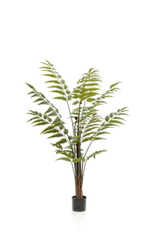 XL Kunstplant - Rumohra Adiantiformis - Ledervaren - Hoogte ↕ 150cm