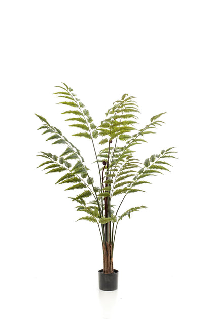 XL Kunstplant - Rumohra Adiantiformis - Ledervaren - Hoogte ↕ 150cm