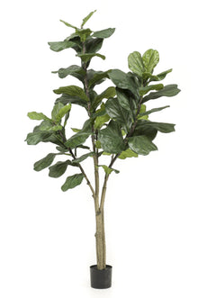 XL Kunstplant - Ficus Lyrata - 180cm