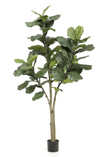 XL Kunstplant - Ficus Lyrata - 180cm