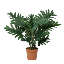 Kunstplant - Philodendron Selloum - Hoogte ↕ 70cm
