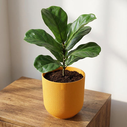 Sierpot - Jazz Round Amber Yellow - Pot Ø 23cm
