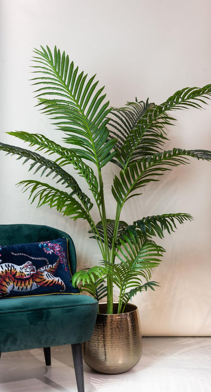 XL Kunstplant - Howea Forsteriana - Hoogte ↕ 160cm