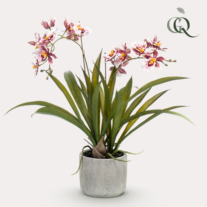 Kunstplant - Orchidee Bordeaux - Hoogte ↕ 45cm