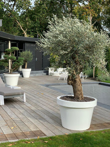 Sierpot Lira Wit - Ø 65cm Hoogte ↕ 58cm