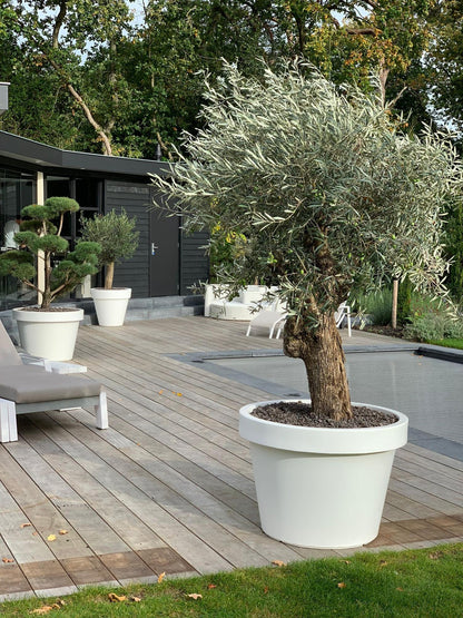 Sierpot Lira Wit - Ø 65cm Hoogte ↕ 58cm