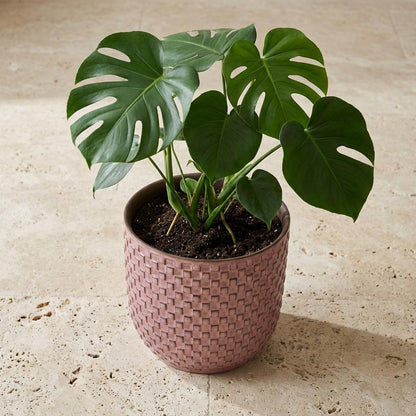 Sierpot - Mini Pot Relief Roze - Ø 7cm