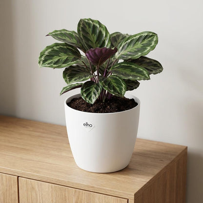 Sierpot - Brussels Rond 18cm - Wit