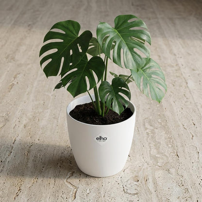 Sierpot - Brussels Rond 18cm - Wit