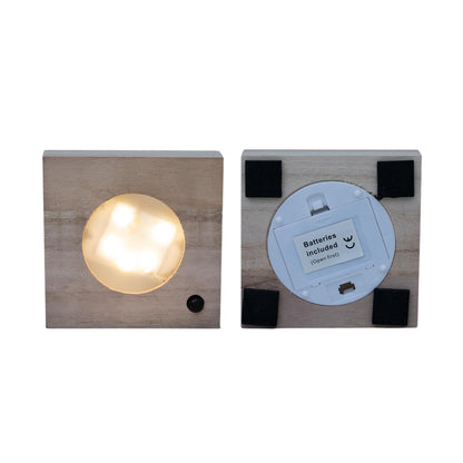 Kamerplant - Clusia in Glas met LED Verlichting - Pot Ø 4cm Hoogte ↕ 10cm