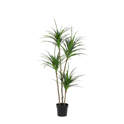 Kunstplant - Dracaena - Hoogte ↕ 165cm