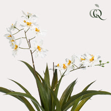 Kunstplant - Orchidee Wit - Hoogte 45cm