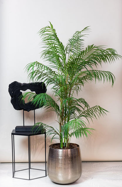 XL kunstplant - Chamaedorea Elegans Bergpalm - Hoogte ↕ 120cm