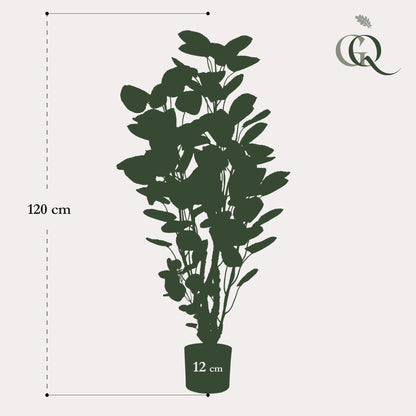 Kunstplant - Polyscias Aralia - Hoogte ↕ 105cm