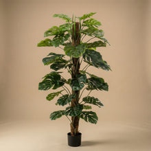 XL Kunstplant - Monstera on Pole Hoogte ↕ 150cm