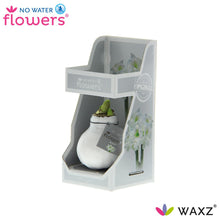 Kunstbloem - Waxz® White in Gift Box - Hoogte ↕ 15cm