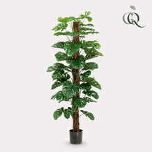 Kunstplant XL - Monstera Deliciosa - Hoogte ↕ 180cm