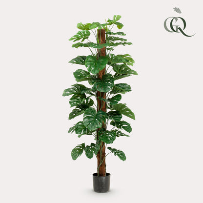 Kunstplant XL - Monstera Deliciosa - Hoogte ↕ 180cm