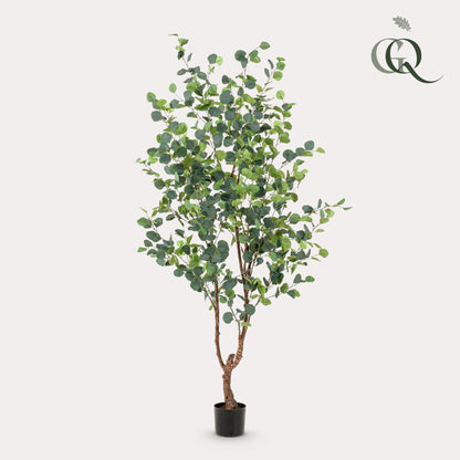 XL Kunstplant - Eucalyptus Blauwe Gomboom - Hoogte ↕ 180cm