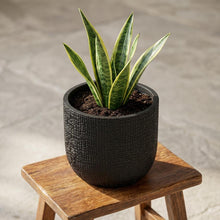 Pot - Nature Skin Bol Antraciet - Ø 17cm x H 15cm