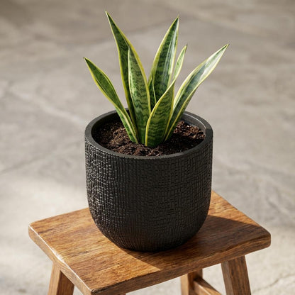 Pot - Nature Skin Bol Antraciet - Ø 17cm x H 15cm
