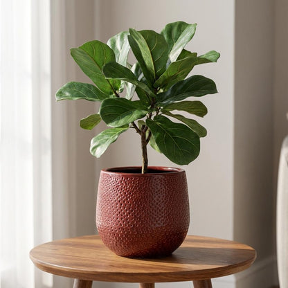 Pot Gabriel Rond Bordeaux - Ø 14cm