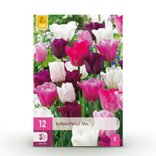 Buitenplant - Tulp Pastel mix - Bloeiend - 12 bollen Bolmaat 11/12