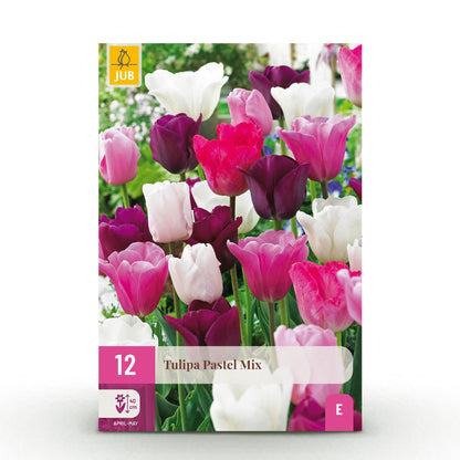 Buitenplant - Tulp Pastel mix - Bloeiend - 12 bollen Bolmaat 11/12