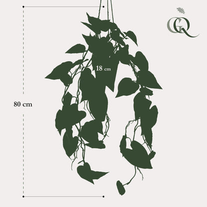 Kunstplant - Philodendron scandens - Klimmende Boomliefhebber - Hoogte ↕ 80cm