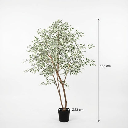 Kunstplant - Ficus benjamina variegata - Hoogte ↕ 185cm