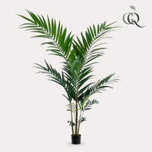 Kunstplant - Kentia Kentiapalm - Hoogte ↕ 150cm