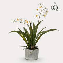 Kunstplant - Orchidee Wit - Hoogte 45cm